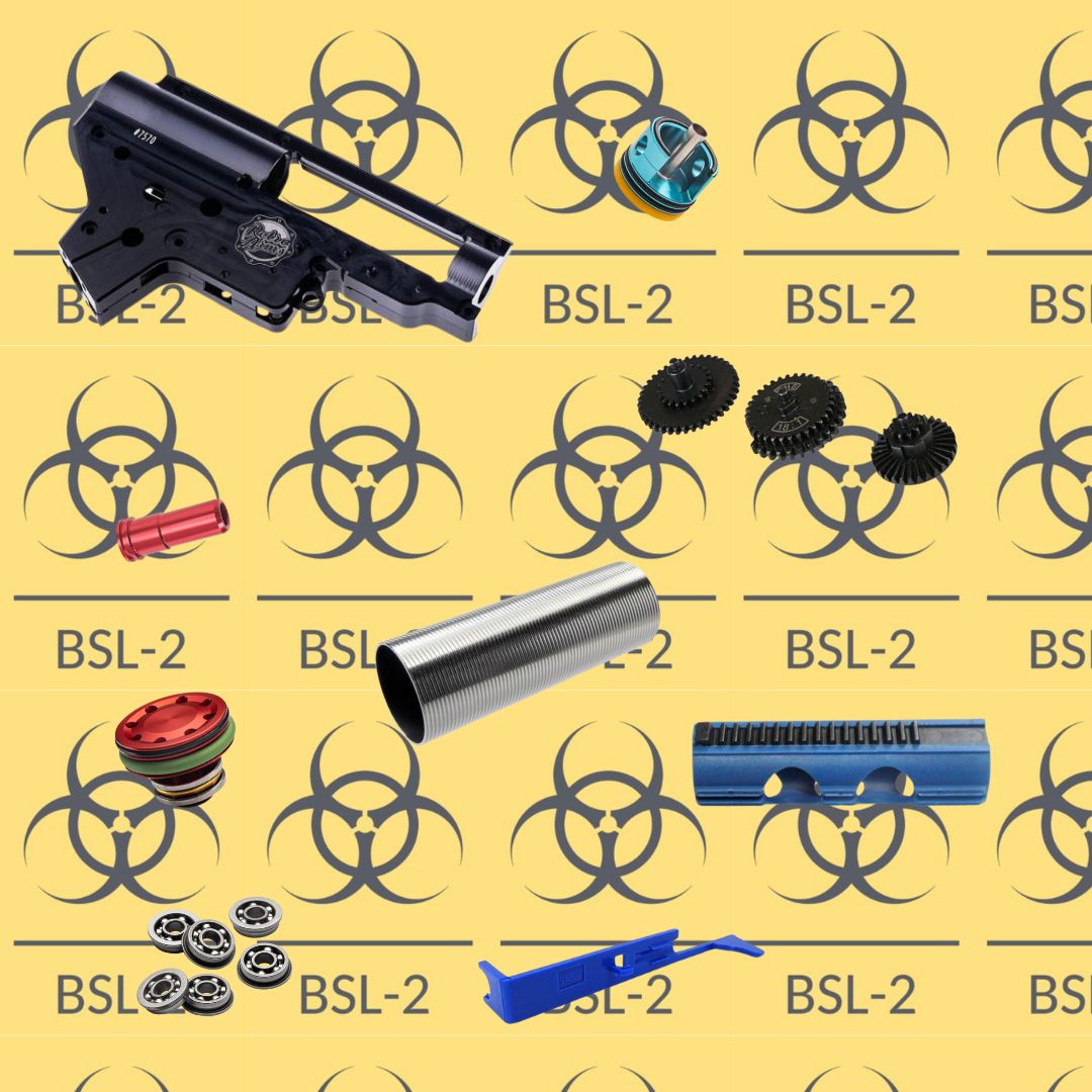 BSL-2